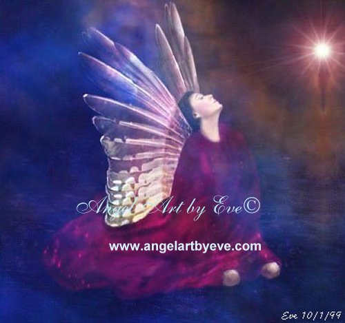 angel pic