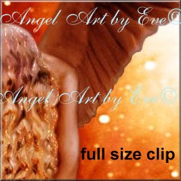 angel pic